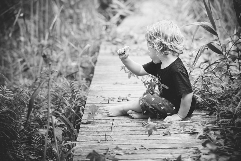 noosa beach family photographer, noosa hinterland family photographer, family portraits noosa phill jackson, large family groups on beach photographer phill jackson,Noos main beach family portraits, sunshine beach family portraits, noosa river family portraits,