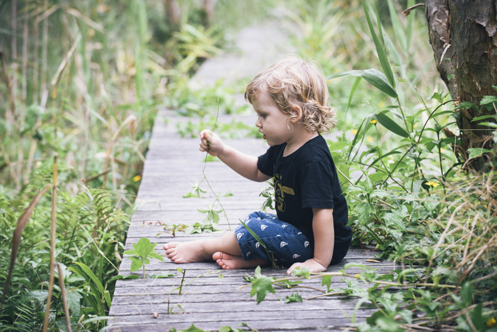 noosa beach family photographer, noosa hinterland family photographer, family portraits noosa phill jackson, large family groups on beach photographer phill jackson,Noos main beach family portraits, sunshine beach family portraits, noosa river family portraits,