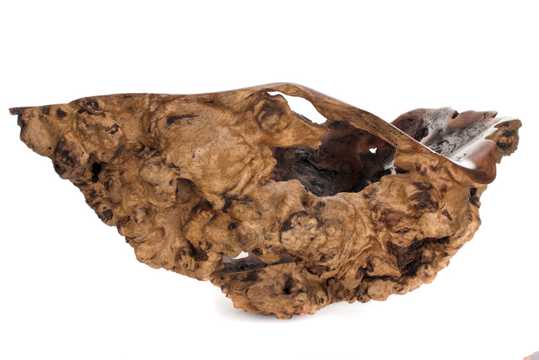 studio product photography noosa, product photography noosa, art photographer phill jackson noosa photographer, photographing john willis art in Maroochydore studio ,noosa product photographer