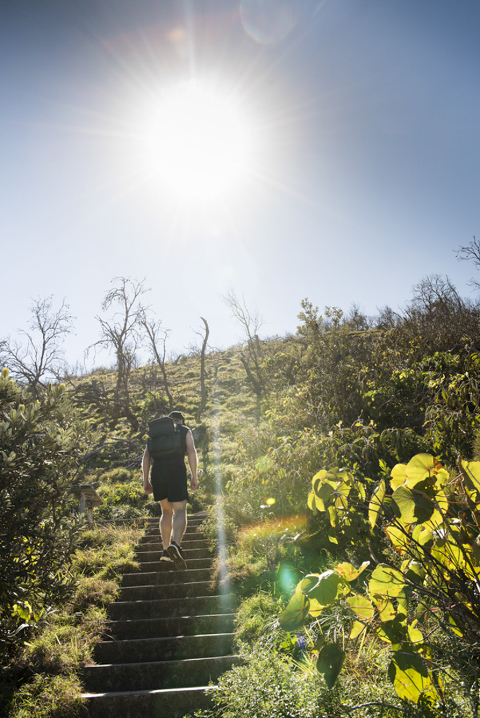 social media photographer noosa, instagram content photographer noosa, corporate portrait photographer noosa, corporate head shots photographer noosa, editorial portrait photographer noosa, social media instagram location portraits for andrew barnett,