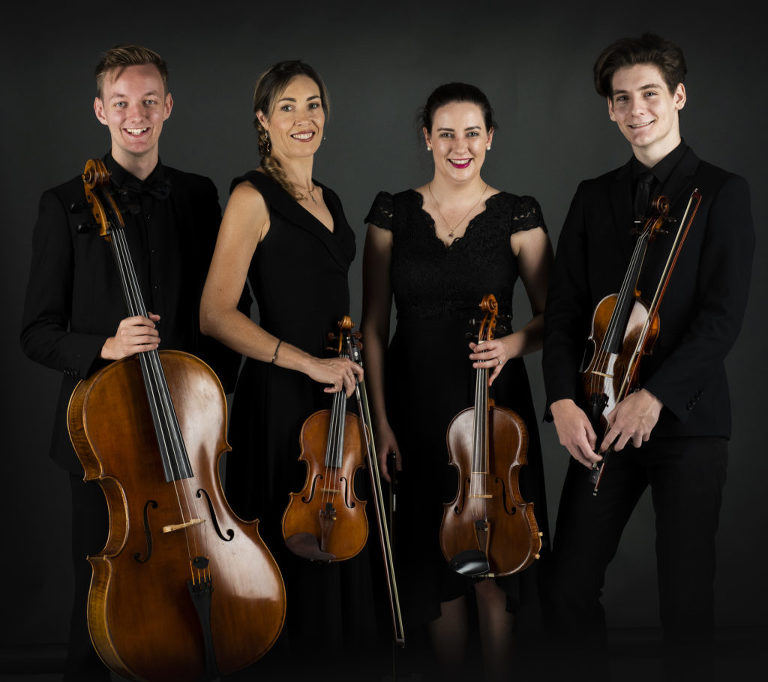 musician portraits, quartet portraits, studio portraits, commercial portraits noosa , editorial portraits noosa,