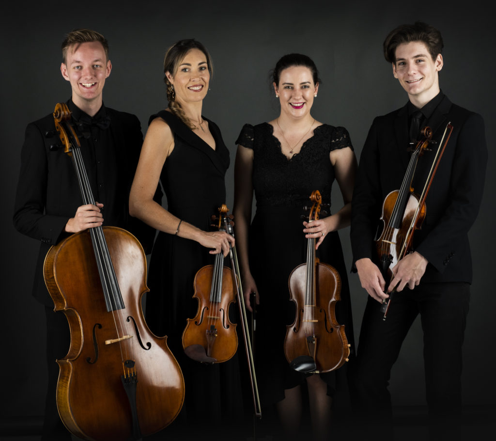 musician portraits, quartet portraits, studio portraits, commercial portraits noosa , editorial portraits noosa,