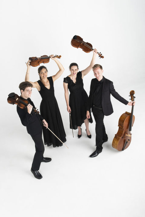 musician portraits, quartet portraits, studio portraits, commercial portraits noosa , editorial portraits noosa,