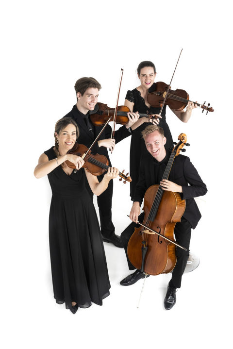 musician portraits, quartet portraits, studio portraits, commercial portraits noosa , editorial portraits noosa,