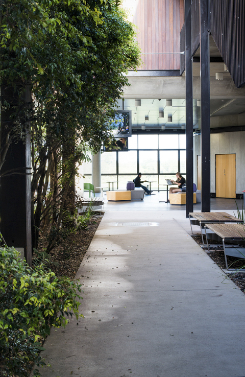 architectural photographer Phill jackson noosa, Achitecture photographer noosa and sunshine coast phill Jackson, university of sunshine coast new facility photographed for Architects, Phill Jackson interior photographer Noosa and sunshine coast,