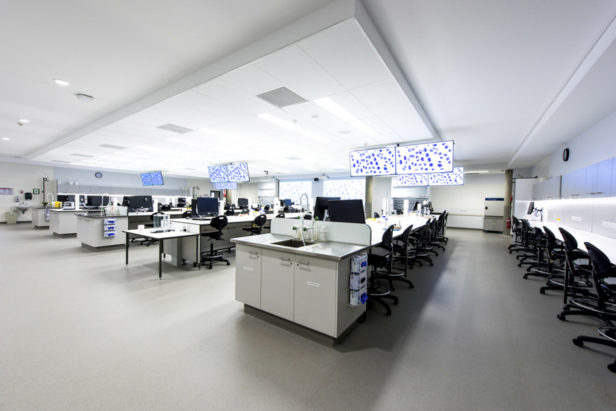 architectural photographer Phill jackson noosa, Achitecture photographer noosa and sunshine coast phill Jackson, university of sunshine coast new facility photographed for Architects, Phill Jackson interior photographer Noosa and sunshine coast,