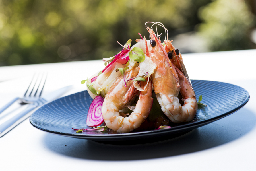 resort photography noosa peppers resort, resort photographer noosa, noosa interior photographer, lifestyle photographer phill jackson noosa,