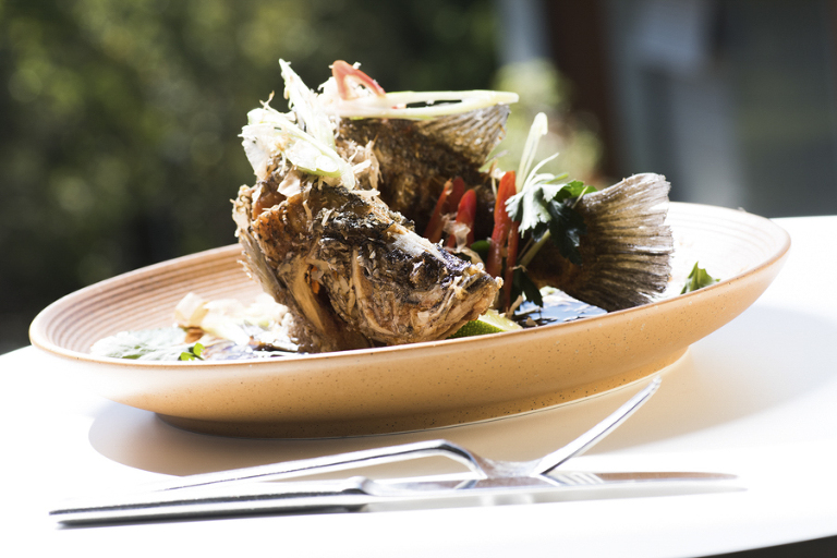 resort photography noosa peppers resort, resort photographer noosa, noosa interior photographer, lifestyle photographer phill jackson noosa,