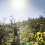 social media content photographer, instagram content  photographer phill jackson  noosa, marketing  photographer noosa,  