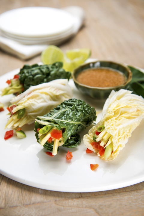 vegan food photographer, raw food photographer , raw vegan food photographer , recipe book photographer noosa, cook book photographer noosa phill jackson