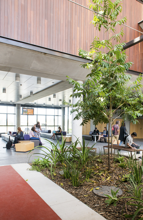 BREWSTER HJORTH Architects photo shoot at sunshine coast University, Architectural photographer Noosa phill Jackson, Unviversity of sunshine coast photographer Phill Jackson, Interiors photographer Noosa, Lifestyle photographer sunshine coast, Lifestyle architectural photographer noosa